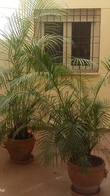 Espacio Málaga Apartman